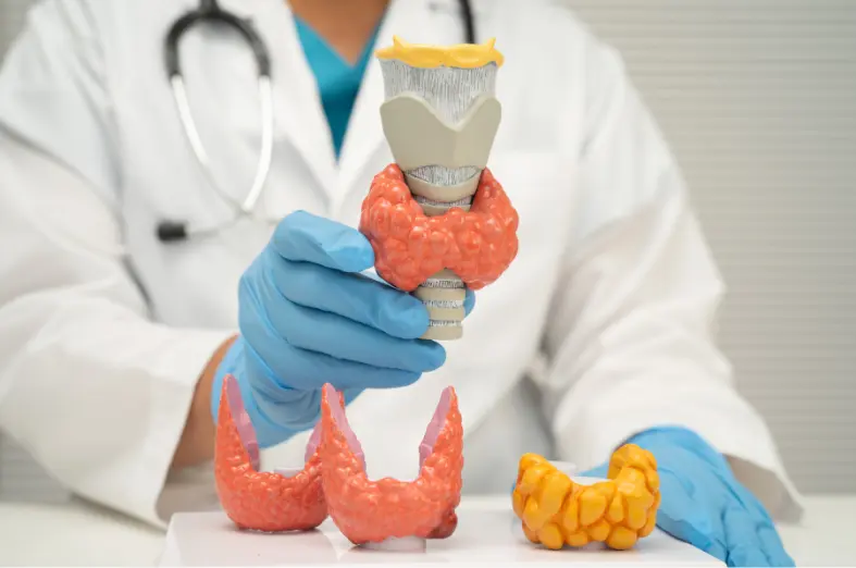 Hiperparatireoidismo_ o que é, tipos, sintomas e quando se preocupar dra ana barbara trizzotti encodrinologista em botucatu sp