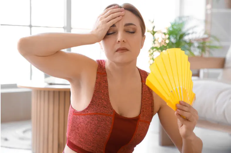 Ondas de Calor e Suor Excessivo_ Quando Procurar um Endocrinologista Dra Ana barbara trizzotti endocrinologista botucatu sp